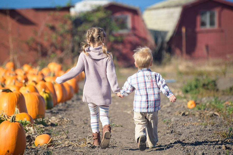 https%3A%2F%2Fwww.northernvirginiamag.com%2Ffamily%2Ffamily-features%2F2019%2F09%2F23%2F4-family-friendly-events-coming-to-nova-parks-in-october%2F