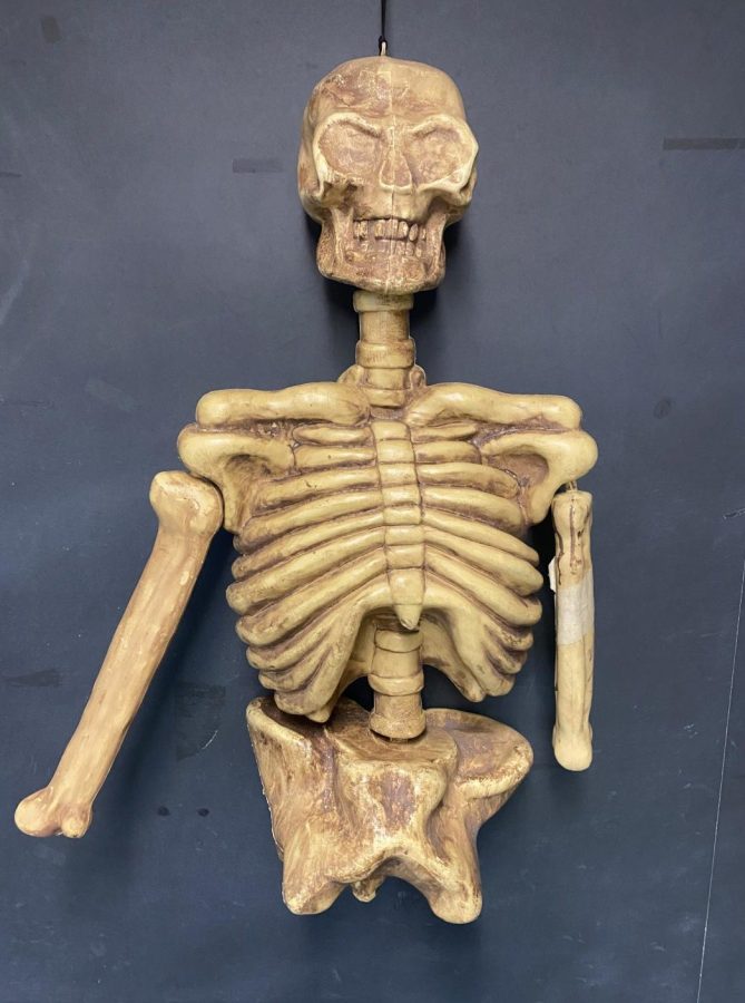 Bobby the skeleton says, Happy Halloween! 