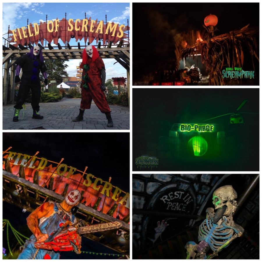 Here are six of the best terrifying attractions around.