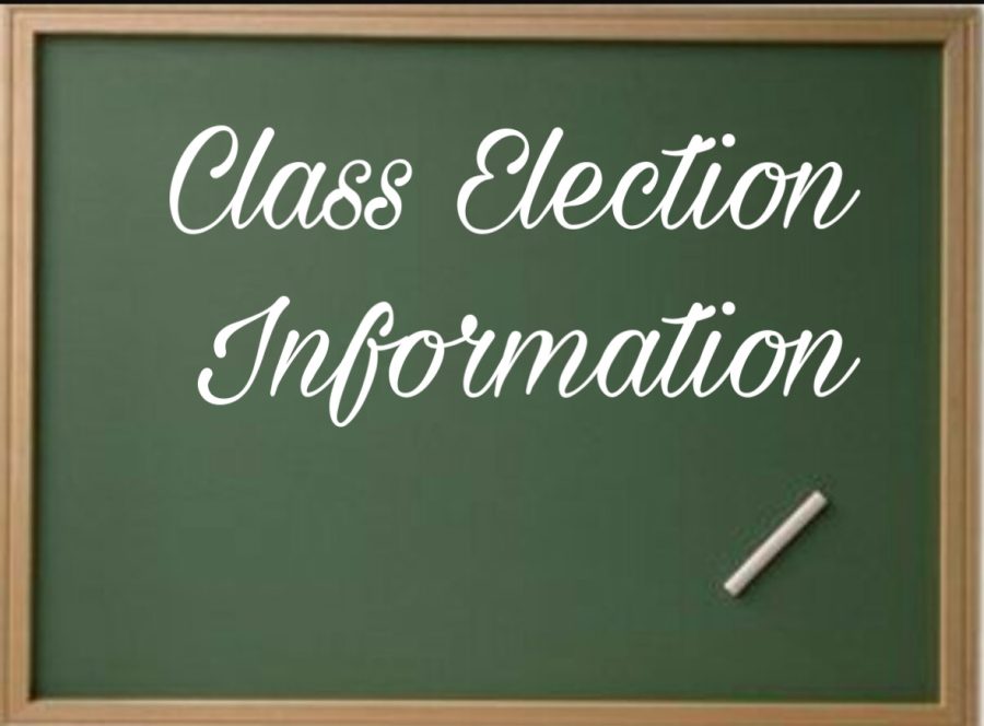 Class Election Information