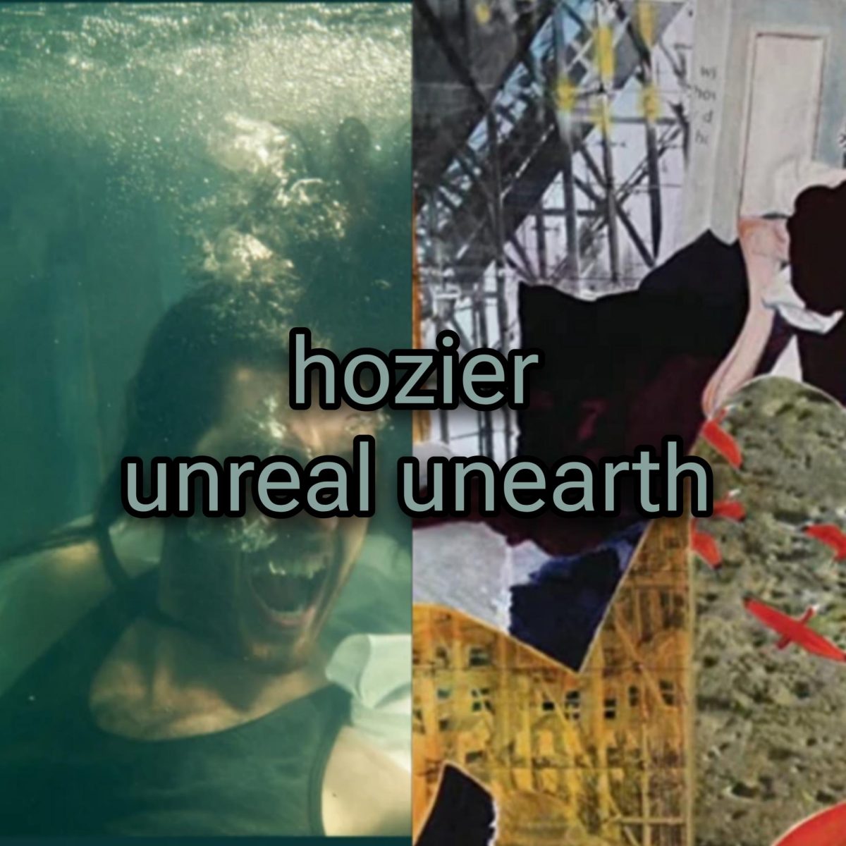 Hoziers+previous+two+albums.+