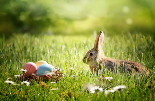 The Spring Equinox and its effect on Easter