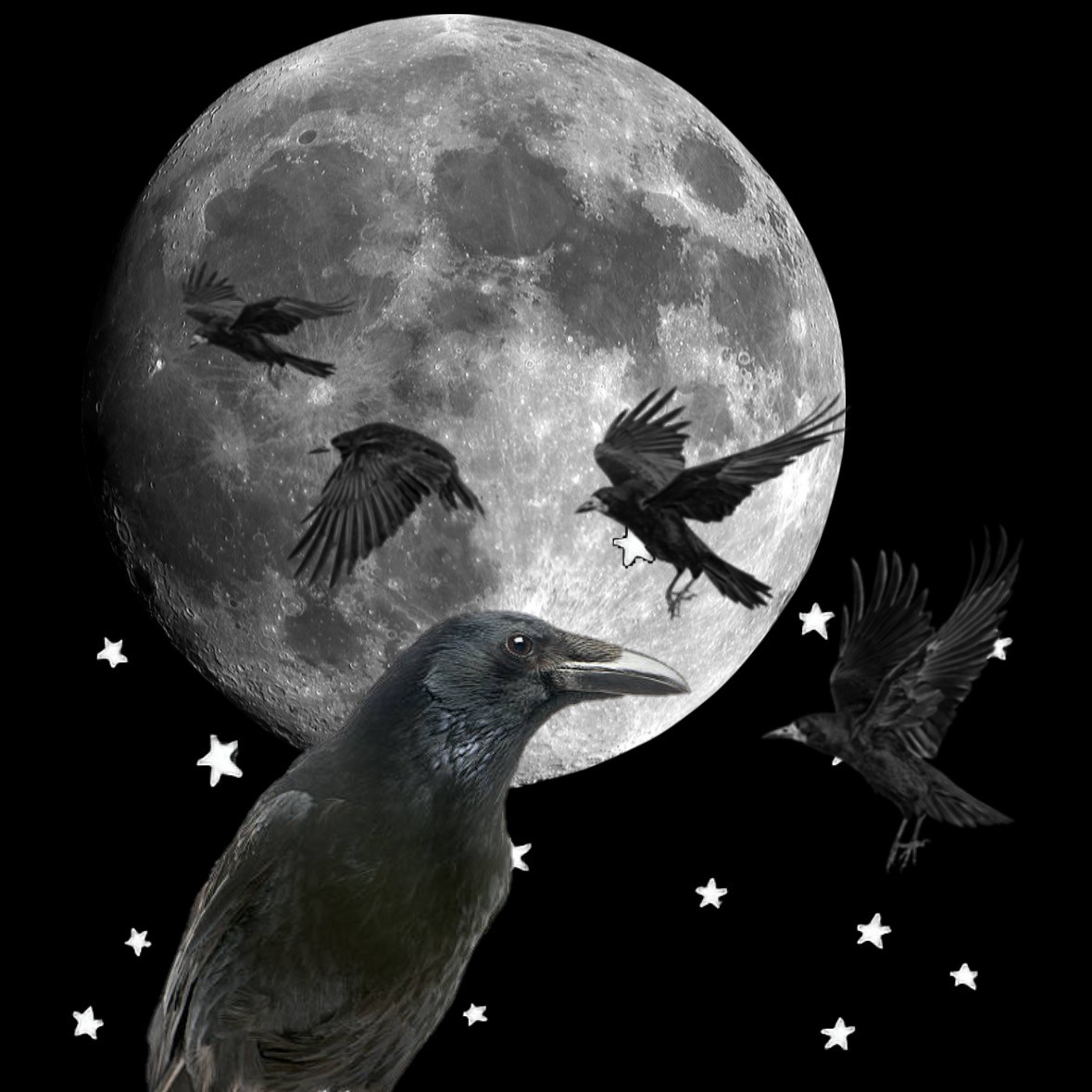 The symbolism of ravens