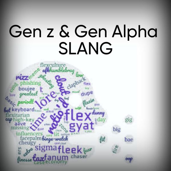 Gen Z/Gen Alpha Slang.