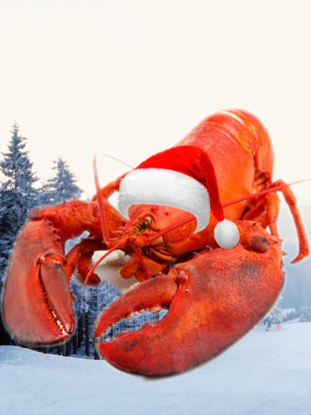 Why eat lobster for Christmas?