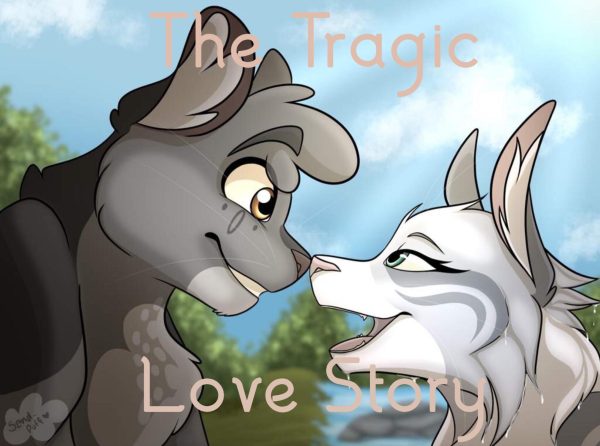 Graystripe and Silverstream's relationship.