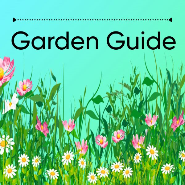 Simple garden guide.