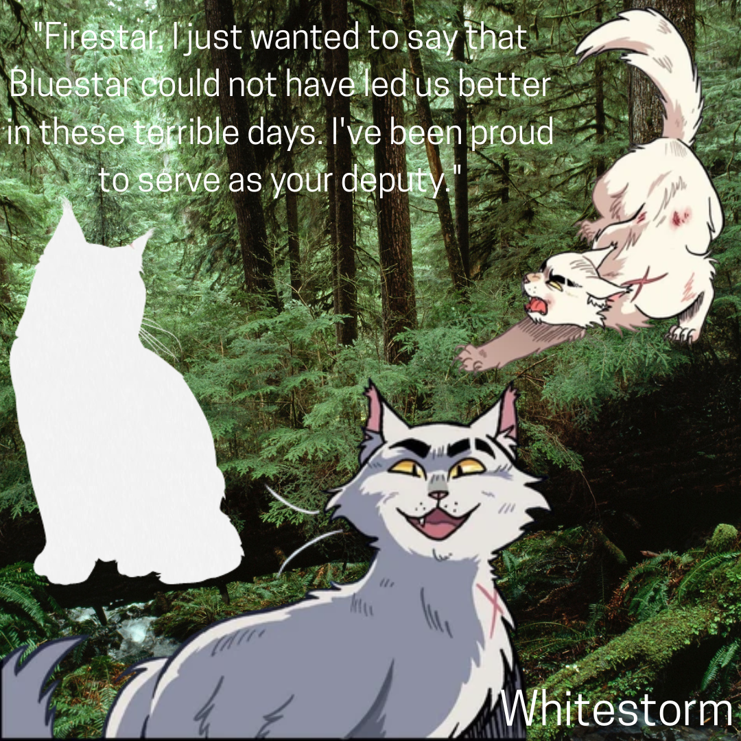 All you need to know about 'Whitestorm.'