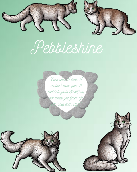 Pebbleshine (picture made on Canva.com)
