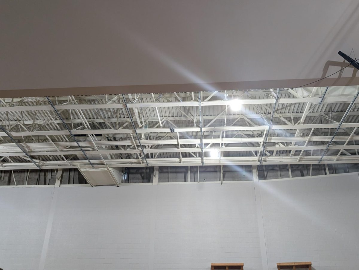 PXL_20251125_131309448.MP