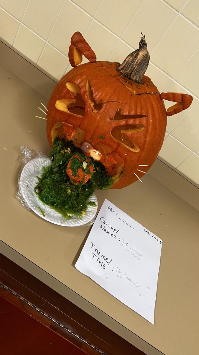 “Throw up cat” (Mr. Fig)