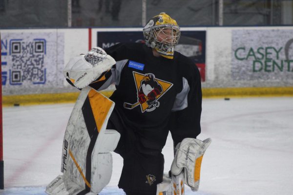 Highlighting NEPA: Home of the Wilkes-Barre/Scranton Penguins